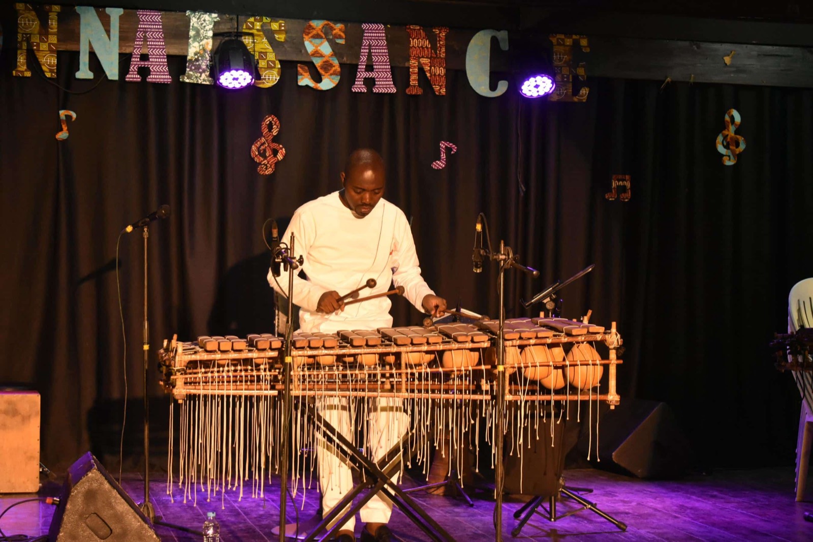 Portrait de Nekobala, balafoniste, en performance